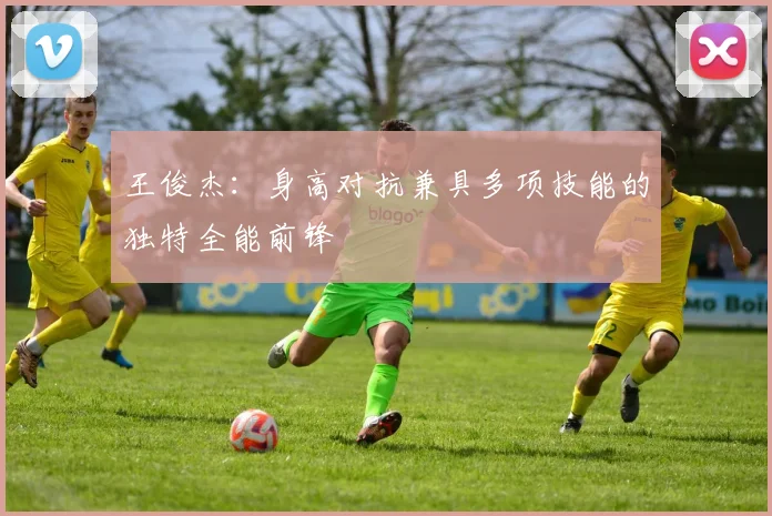 王俊杰：身高对抗兼具多项技能的独特全能前锋